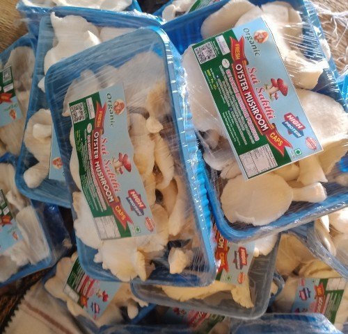 Mushroom Packaging